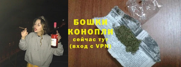 сатива Балабаново
