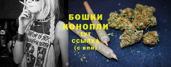 сатива Балабаново