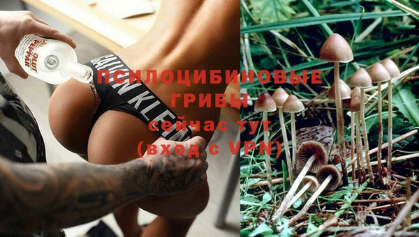 винт Семёнов