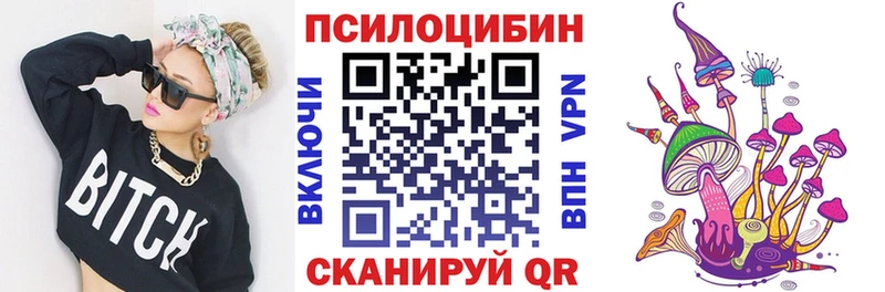 площадка как зайти  blacksprut вход  Псилоцибиновые грибы Psilocybine cubensis  Котельнич  как найти  